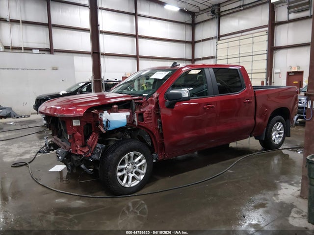 Продажа на аукционе авто 2024 Chevrolet Silverado 1500 4wd  Short Bed Lt, vin: 1GCUDDED4RZ192704, номер лота: 44799520