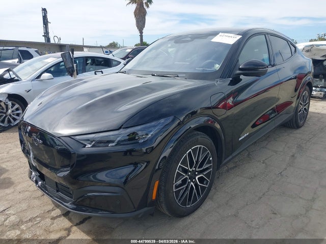 Ford Mustang Mach-e Premium 2025 3FMTK3R76SMA46436 Image 2