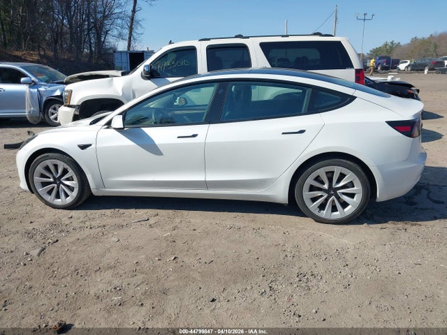 Продаж на аукціоні авто 2023 Tesla Model 3 Rear-wheel Drive, vin: 5YJ3E1EA6PF399384, номер лоту: 44799847