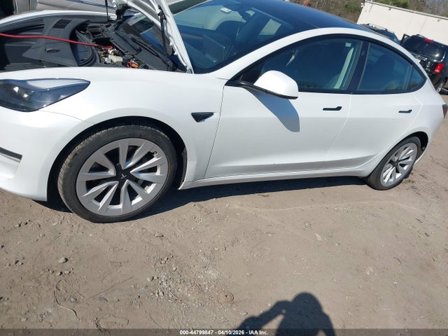 Продаж на аукціоні авто 2023 Tesla Model 3 Rear-wheel Drive, vin: 5YJ3E1EA6PF399384, номер лоту: 44799847