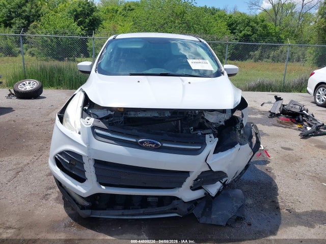 Продажа на аукционе авто 2014 Ford Escape Se, vin: 1FMCU0G97EUB93121, номер лота: 44800220