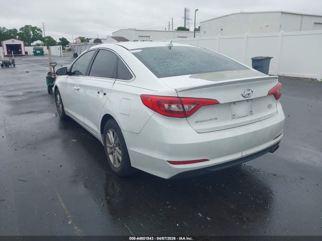 Продаж на аукціоні авто 2017 Hyundai Sonata, vin: 5NPE24AF7HH516834, номер лоту: 44801543