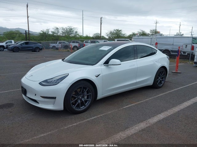 Tesla Model 3 Long Range/mid Range 2018 5YJ3E1EA9JF161505 Image 2
