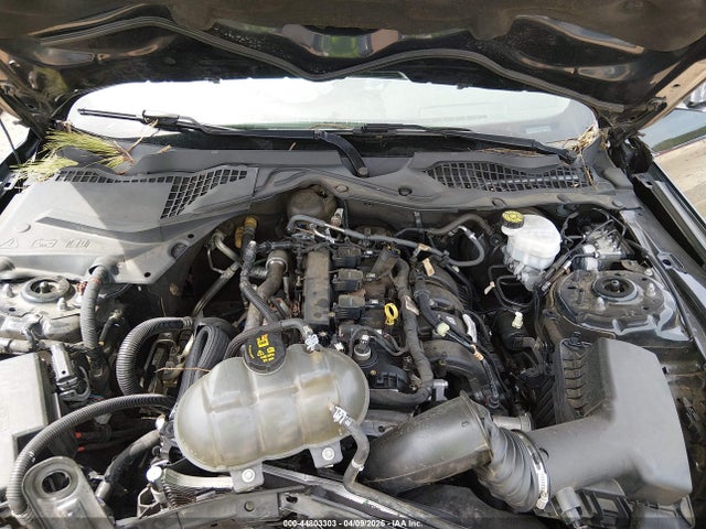 2019 Ford Mustang Ecoboost მანქანა იყიდება აუქციონზე, vin: 1FA6P8TH0K5203178, აუქციონის ნომერი: 44803303