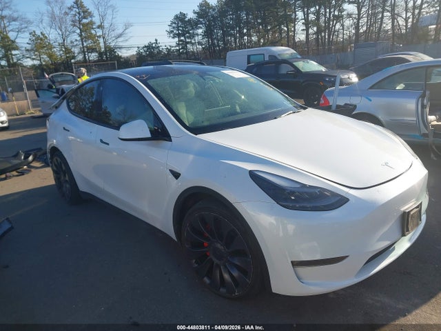 2023 TESLA MODEL Y 7SAYGDEF5PF704860