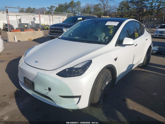 2023 TESLA MODEL Y 7SAYGDEF5PF704860 Photo 1