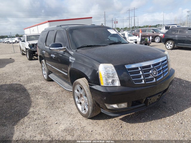 2011 Cadillac Escalade Luxury მანქანა იყიდება აუქციონზე, vin: 1GYS3BEF1BR272963, აუქციონის ნომერი: 44803906