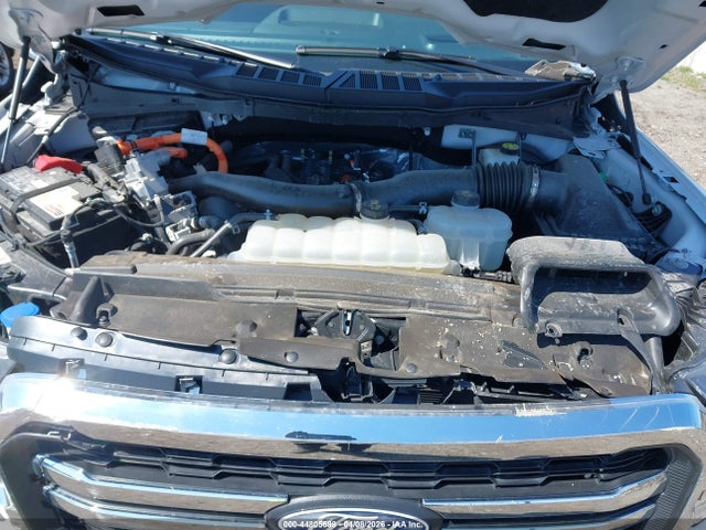 2024 Ford F-150 Lariat მანქანა იყიდება აუქციონზე, vin: 1FTFW5LD4RFA82197, აუქციონის ნომერი: 44805698