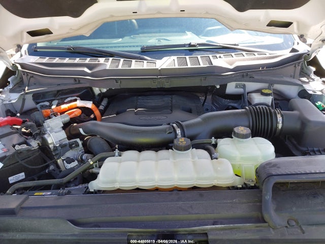 44805819 :رقم المزاد ، 1FTFW1ED5MFB31678 vin ، 2021 Ford F-150 Xlt مزاد بيع