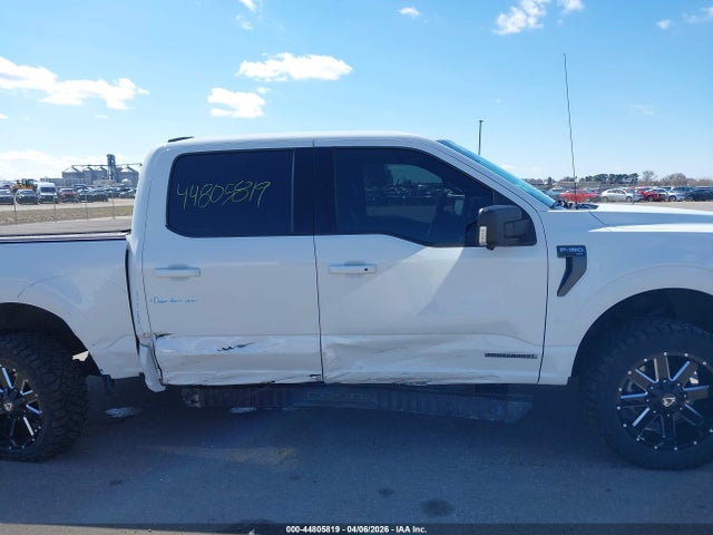 44805819 :رقم المزاد ، 1FTFW1ED5MFB31678 vin ، 2021 Ford F-150 Xlt مزاد بيع