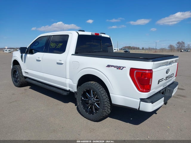 44805819 :رقم المزاد ، 1FTFW1ED5MFB31678 vin ، 2021 Ford F-150 Xlt مزاد بيع