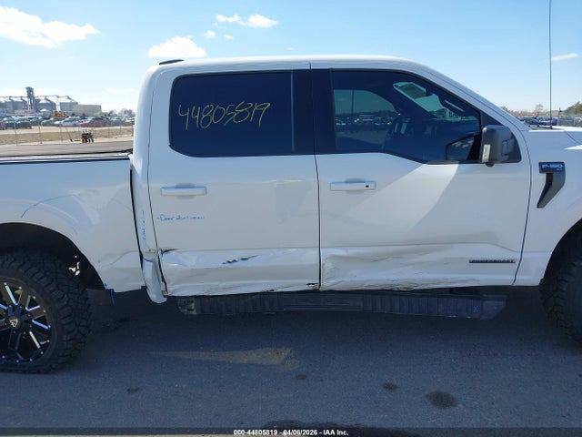 44805819 :رقم المزاد ، 1FTFW1ED5MFB31678 vin ، 2021 Ford F-150 Xlt مزاد بيع
