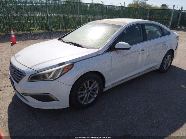 5NPE24AF4GH343174 Hyundai SONATA SE