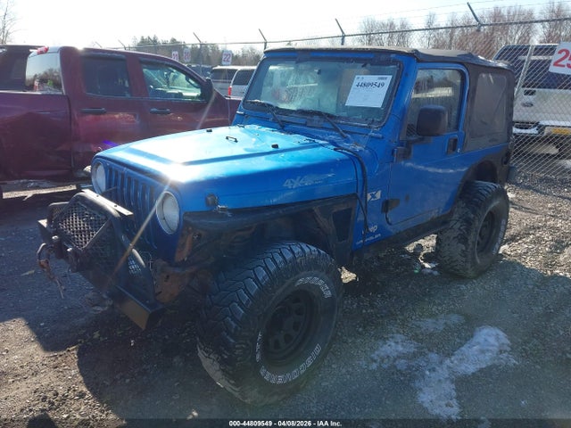 2003 JEEP WRANGLER 1J4FA39S83P302316 Photo 1
