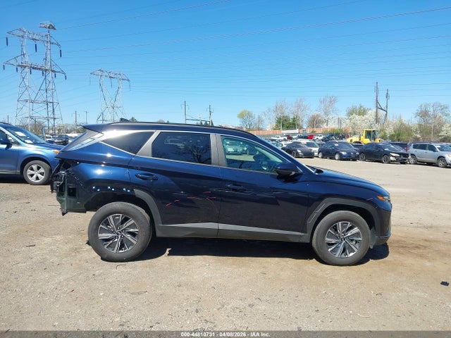 Hyundai Tucson Hybrid Blue 2024 KM8JBCD18RU239607 Image 12