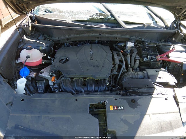Auction sale of the 2024 Hyundai Tucson Sel, vin: 5NMJF3DE1RH343455, lot number: 44811555