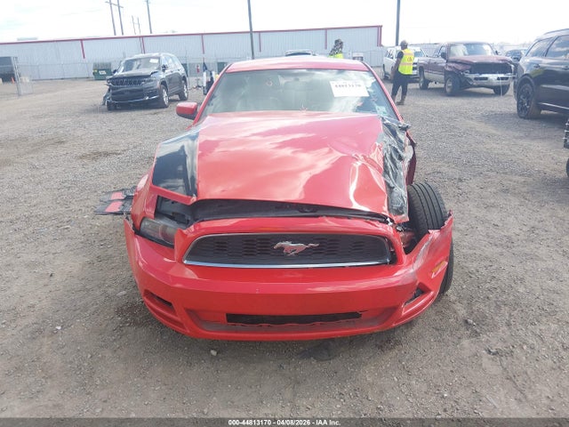 44813170 :رقم المزاد ، 1ZVBP8AM0D5215596 vin ، 2013 Ford Mustang V6 Premium مزاد بيع