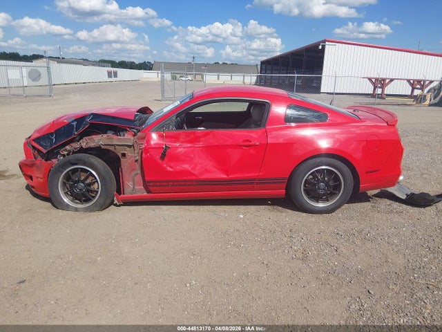 44813170 :رقم المزاد ، 1ZVBP8AM0D5215596 vin ، 2013 Ford Mustang V6 Premium مزاد بيع