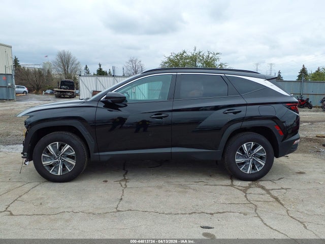 Hyundai Tucson Hybrid Blue 2024 KM8JBCD18RU154847 Image 15