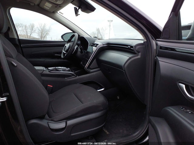 Hyundai Tucson Hybrid Blue 2024 KM8JBCD18RU154847 Image 5