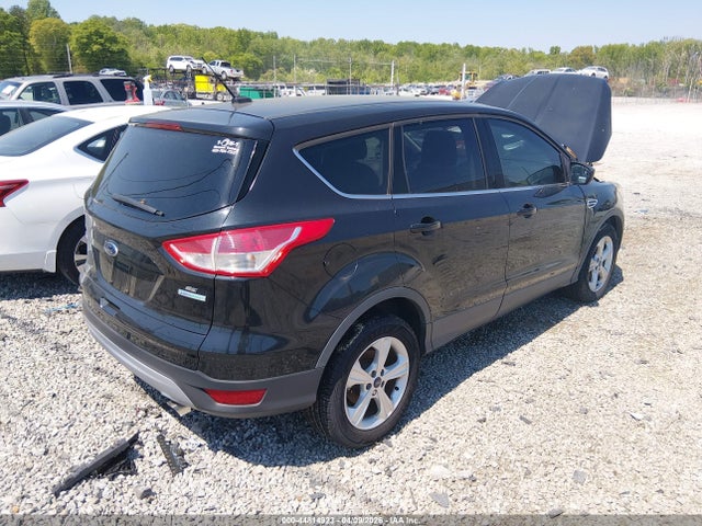 Продажа на аукционе авто 2014 Ford Escape Se, vin: 1FMCU0GX0EUC04667, номер лота: 44814923