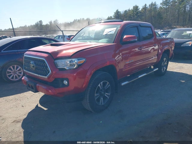 3TMCZ5AN8JM141052 Toyota Tacoma