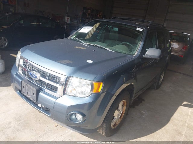 Auction sale of the 2011 Ford Escape Xlt, vin: 1FMCU0DG1BKC60984, lot number: 44815011