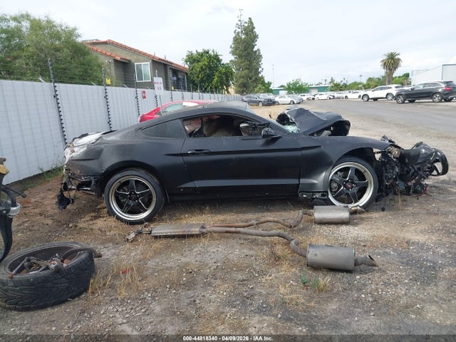 Ford Mustang Ecoboost 2016 1FA6P8TH8G5334396 Image 13