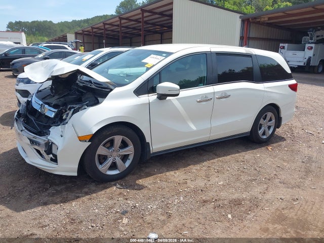 2019 Honda Odyssey Ex მანქანა იყიდება აუქციონზე, vin: 5FNRL6H56KB087778, აუქციონის ნომერი: 44818462