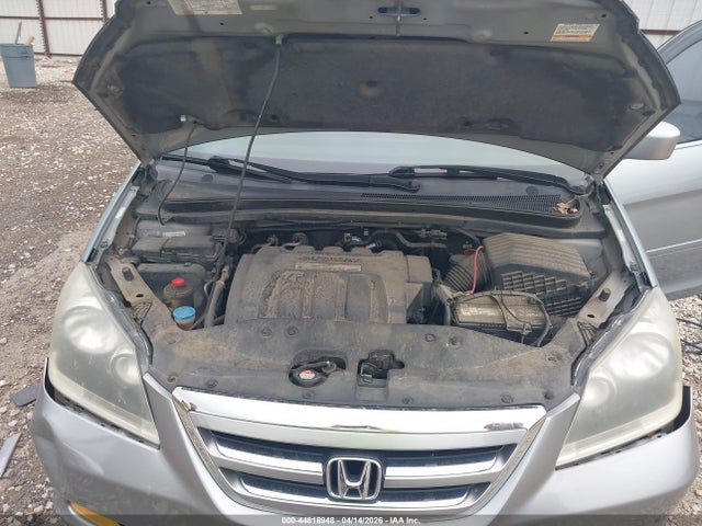 2005 Honda Odyssey Ex-l მანქანა იყიდება აუქციონზე, vin: 5FNRL38665B028354, აუქციონის ნომერი: 44818948
