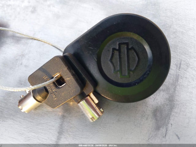 2020 HARLEY-DAVIDSON FLTRK 1HD1KZF21LB612176 Photo 10