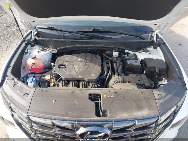 Hyundai Tucson Limited 2023 5NMJECAEXPH203506 Image 10