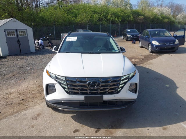 Hyundai Tucson Limited 2023 5NMJECAEXPH203506 Image 13