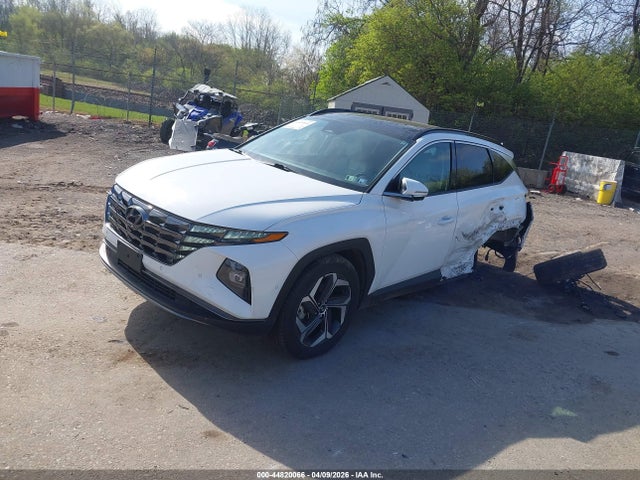 Hyundai Tucson Limited 2023 5NMJECAEXPH203506 Image 2