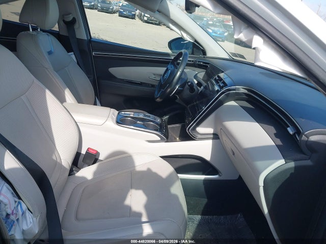 Hyundai Tucson Limited 2023 5NMJECAEXPH203506 Image 5
