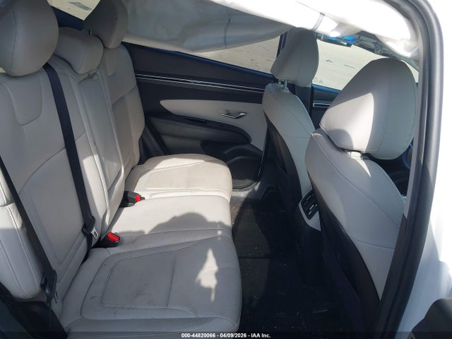 Hyundai Tucson Limited 2023 5NMJECAEXPH203506 Image 8