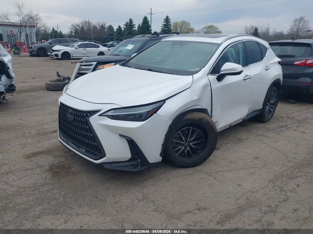 2025 Lexus Nx 350 Premium მანქანა იყიდება აუქციონზე, vin: 2T2GGCEZ2SC062734, აუქციონის ნომერი: 44820646