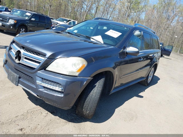 2010 MERCEDES-BENZ GL 450 4JGBF7BE6AA579043 Photo 1