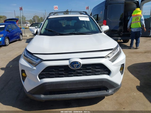 Toyota Rav4 Hybrid Xle Premium 2024 JTMB6RFV8RD559347 Image 12