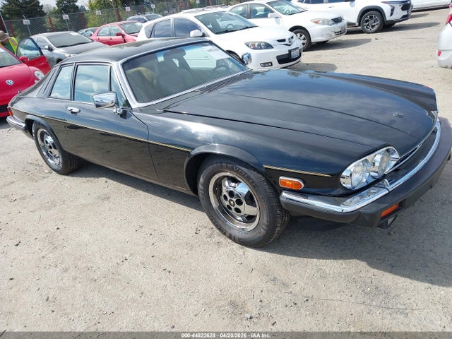 Продаж на аукціоні авто 1983 Jaguar Xjs, vin: SAJNV584XDC110152, номер лоту: 44822628