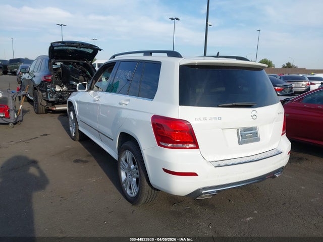 2015 MERCEDES-BENZ GLK 250 BLUETEC WDCGG0EB5FG424630 Photo 2
