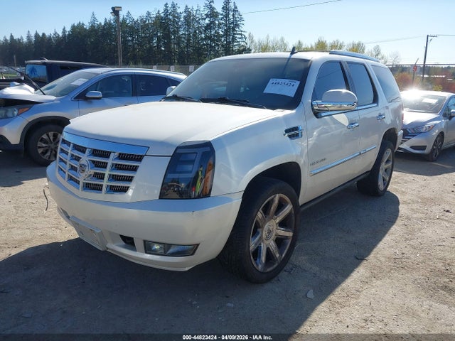 Aukcja sprzedaży 2010 Cadillac Escalade Premium, vin: 1GYUKCEF9AR258261, numer aukcji: 44823424