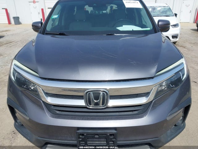 Продажа на аукционе авто 2019 Honda Pilot Ex-l, vin: 5FNYF6H42KB028303, номер лота: 44823854