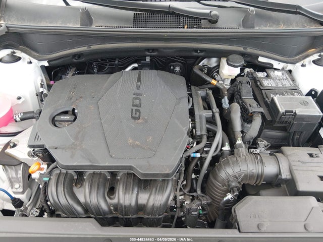 Aukcja sprzedaży 2026 Kia Sportage Ex, vin: 5XYK33DF2TG346517, numer aukcji: 44824463