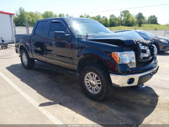 44824613 :رقم المزاد ، 1FTEW1CM4EKG42385 vin ، 2014 Ford F-150 Xlt مزاد بيع