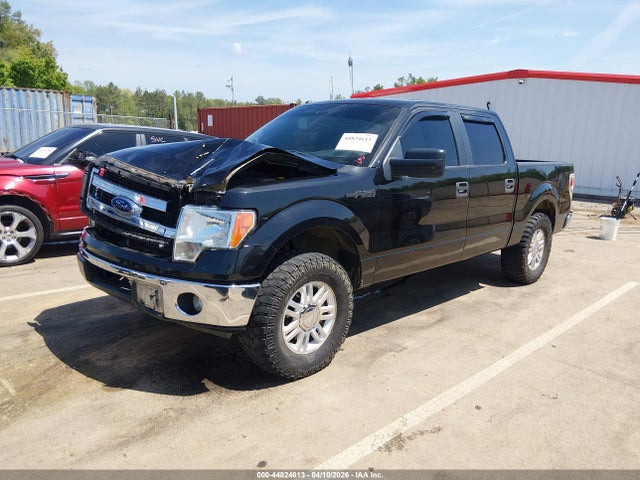 44824613 :رقم المزاد ، 1FTEW1CM4EKG42385 vin ، 2014 Ford F-150 Xlt مزاد بيع