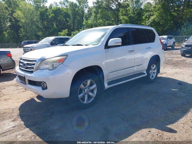 Auction sale of the 2011 Lexus Gx 460 Premium, vin: JTJJM7FX8B5026662, lot number: 44824758