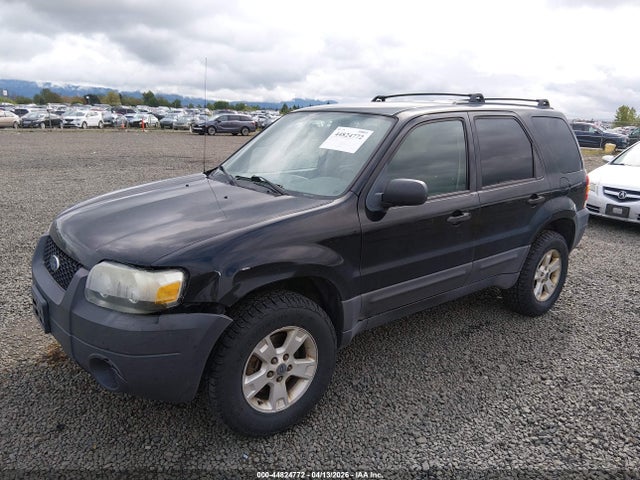 44824772 :رقم المزاد ، 1FMYU93126KB11352 vin ، 2006 Ford Escape Xlt/xlt Sport مزاد بيع