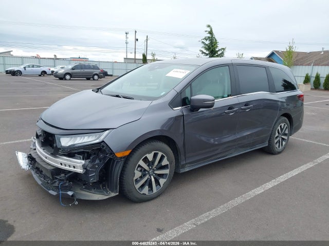 5FNRL6H6XSB081460 Honda Odyssey Ex-l