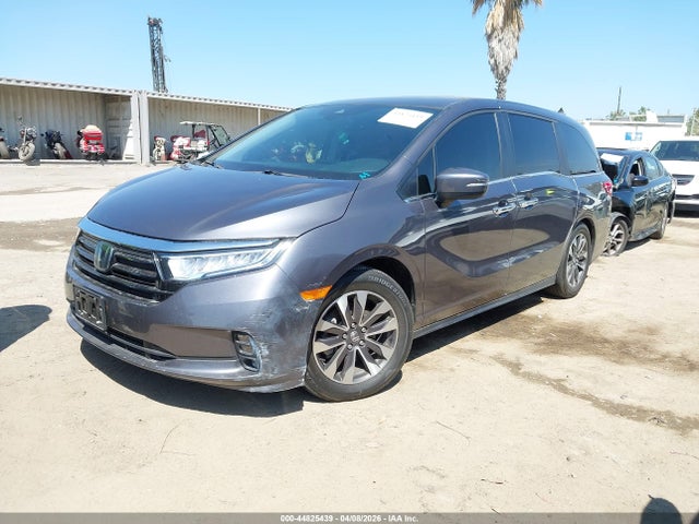 Aukcja sprzedaży 2024 Honda Odyssey Exl, vin: 5FNRL6H62RB049340, numer aukcji: 44825439